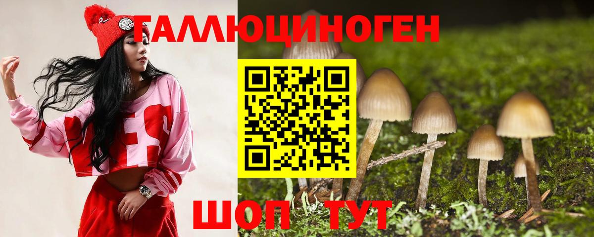 Тобольск  Псилоцибиновые грибы MAGIC MUSHROOMS  Вход с VPN 