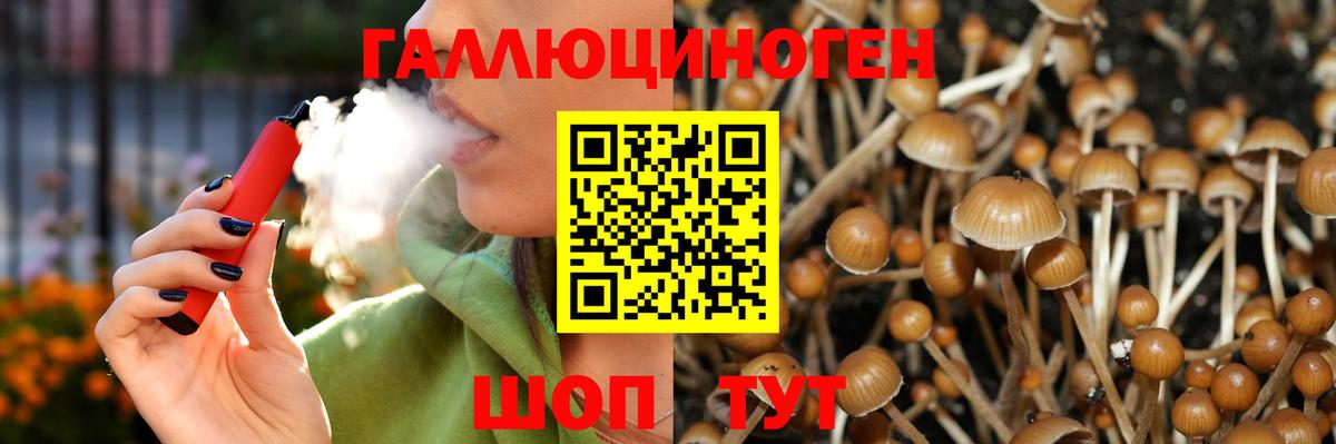 Галлюциногенные грибы GOLDEN TEACHER Тобольск